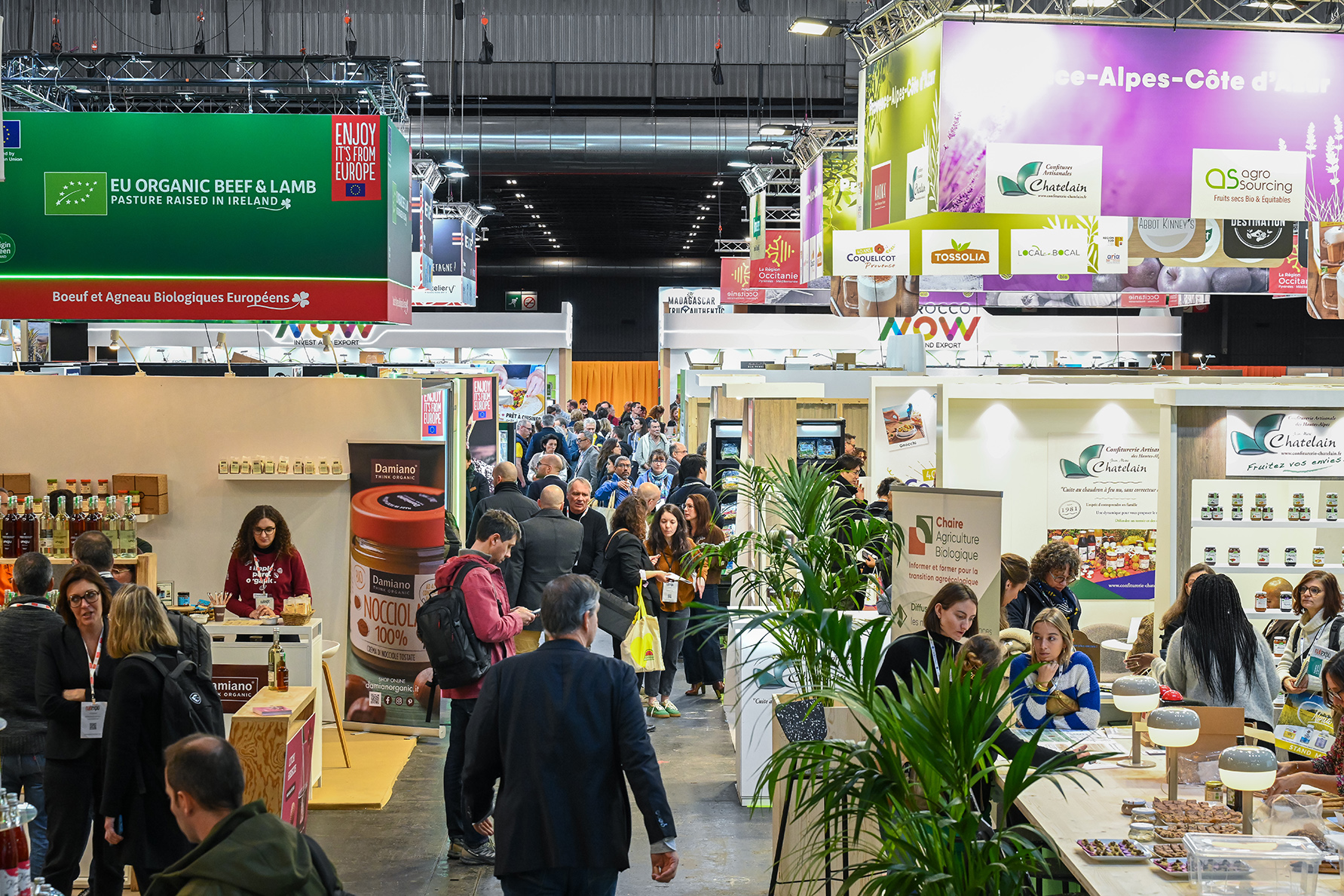Natexpo 2026 : la restauration bio prend ses quartiers à Lyon
